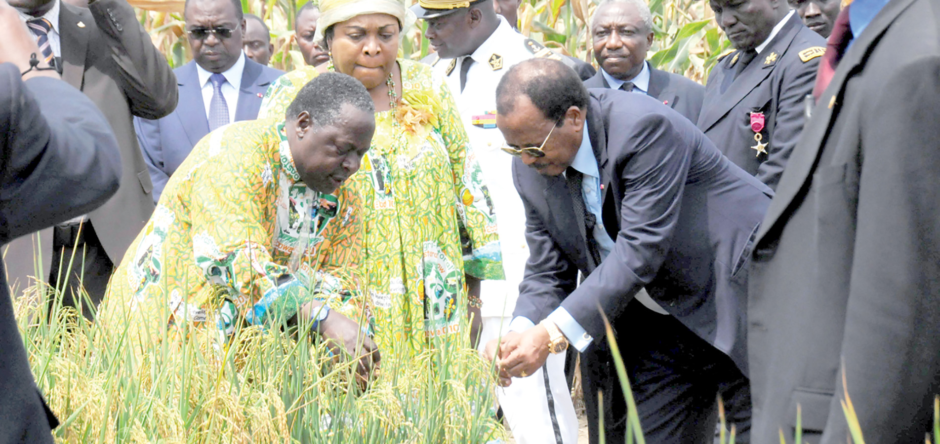 The President of the Republic at the Ebolowa Agropastoral Show