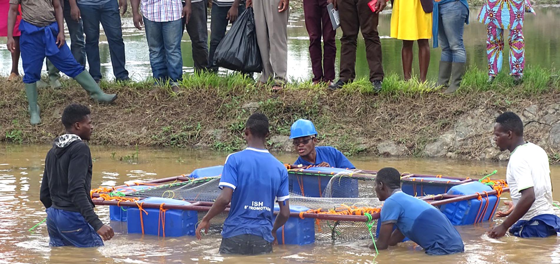 Fish farmers learn how to build and install a fish cage