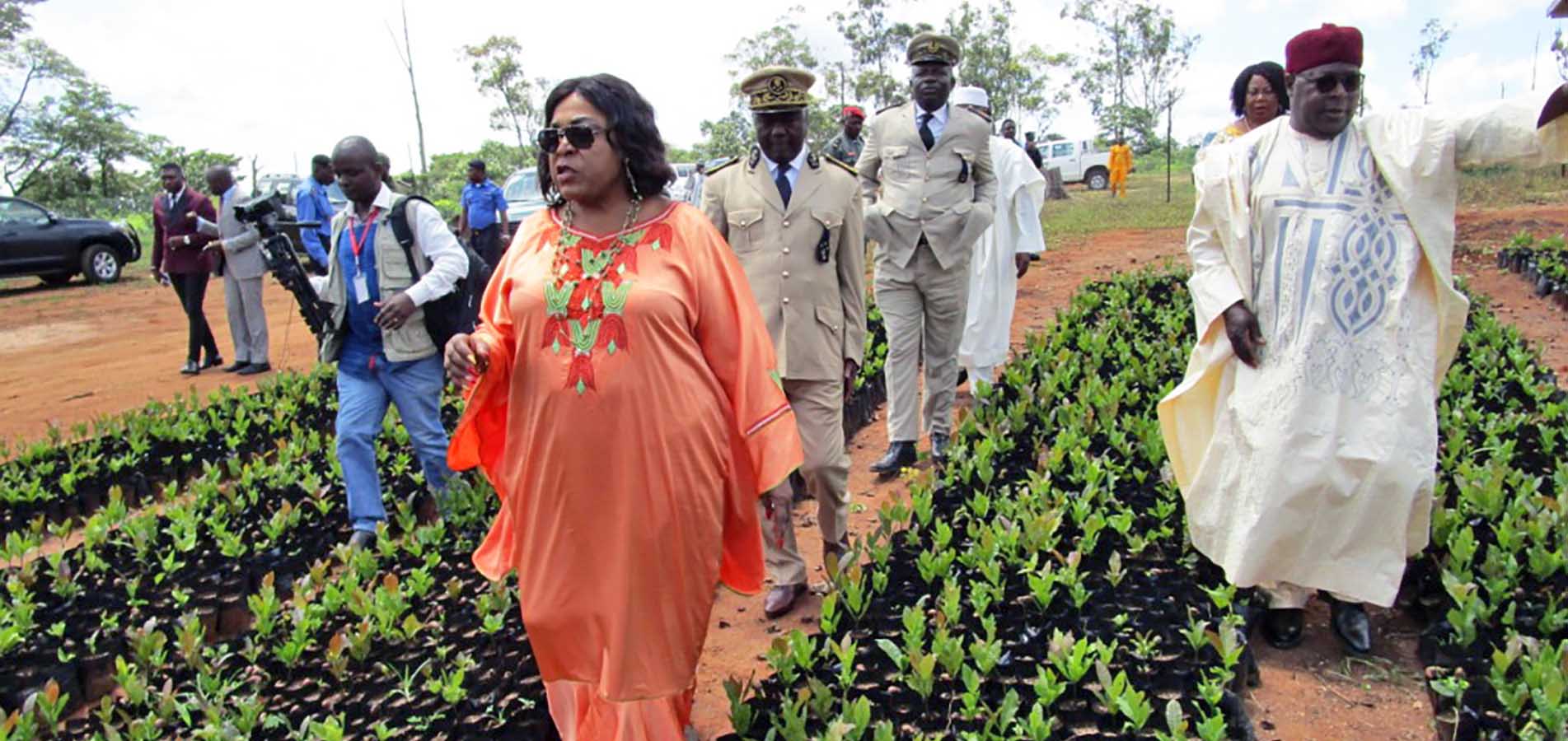 The Minister, Dr Madeleine TCHUINTE visits the cashew tree nursery at the IRAD-Wakwa Centre