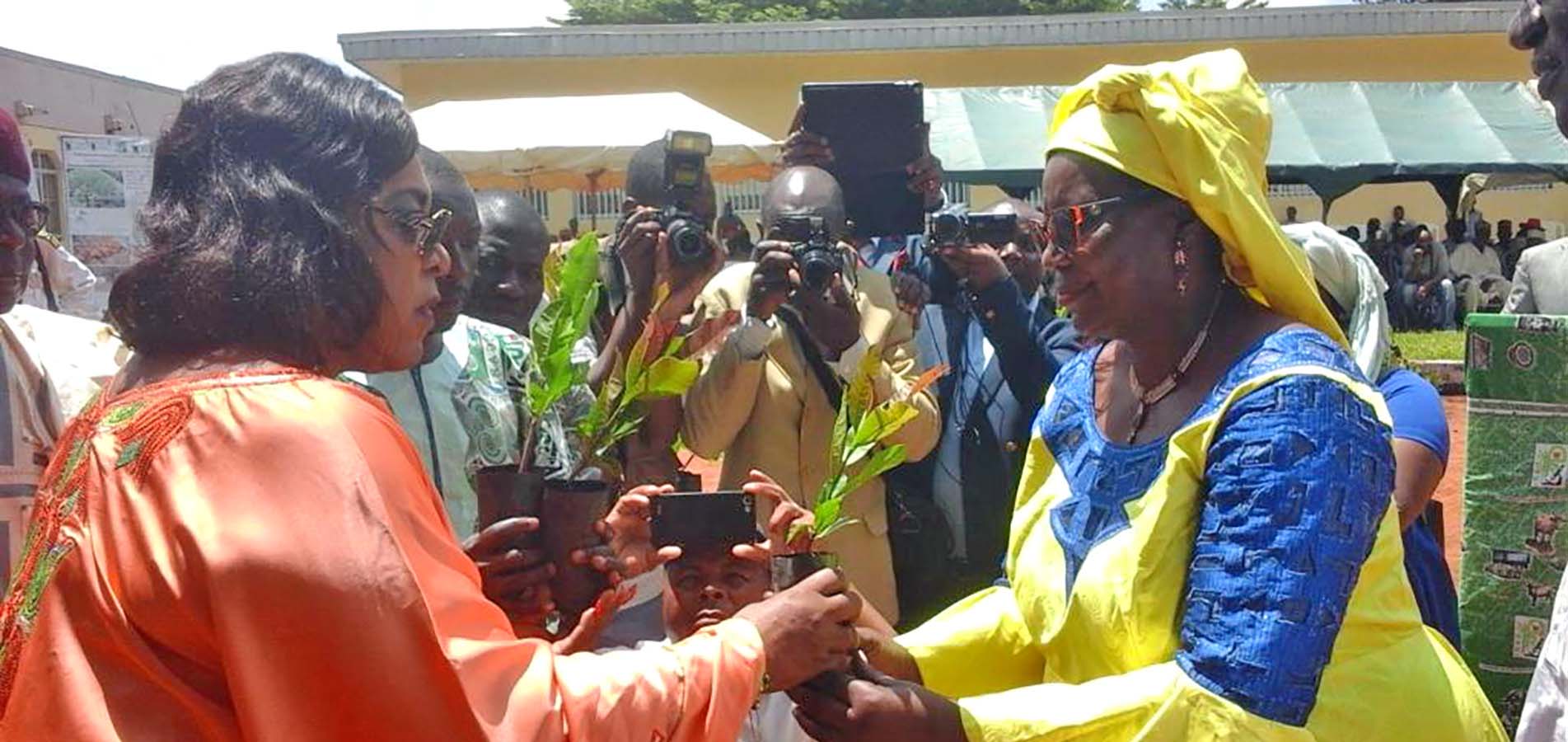 Distribution de 1 000 000 de plants aux populations de l'Adamaoua par Mme le MINRESI, Dr Madeleine TCHUINTE