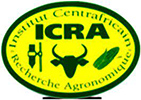 ICRA RCA
